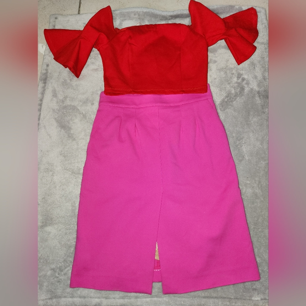 San Joy Red and Pink Pencil Skirt Zara